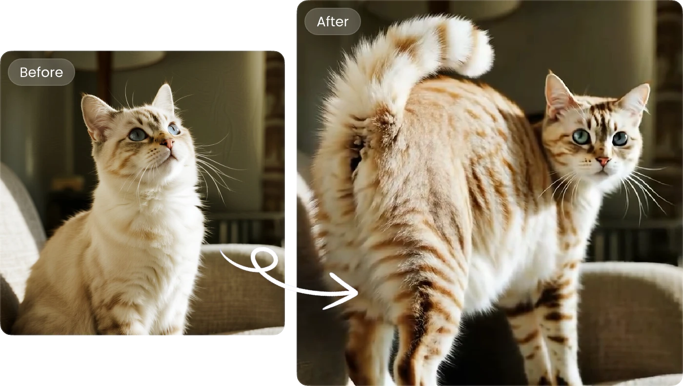 Generate Twerking Videos for Pets (Even Our Charming Cat Friends Can Dance!)